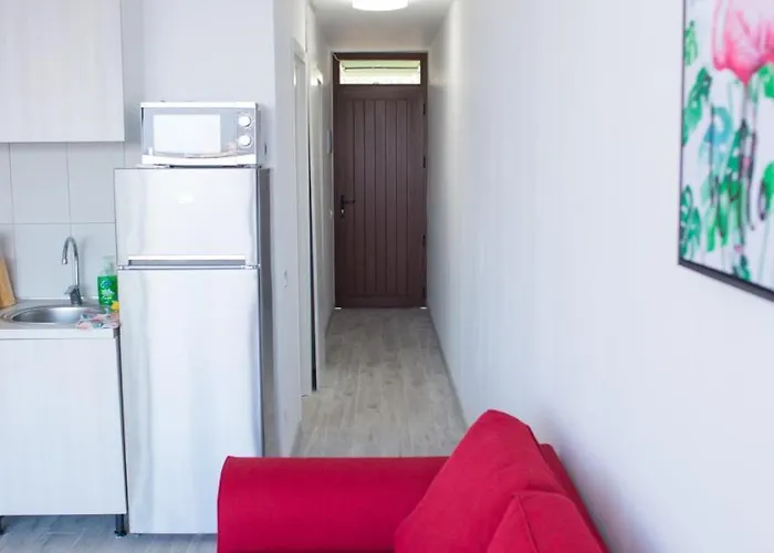 Vina Del Mar Ii Appartement